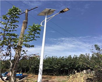 陜西西安藍(lán)田縣竹峪鎮(zhèn)新農(nóng)村太陽(yáng)能路燈