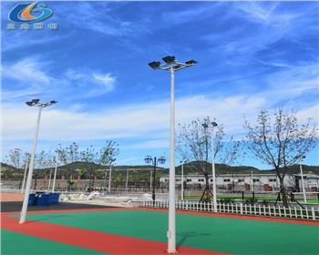 陜西延安學(xué)校路燈照明項(xiàng)目